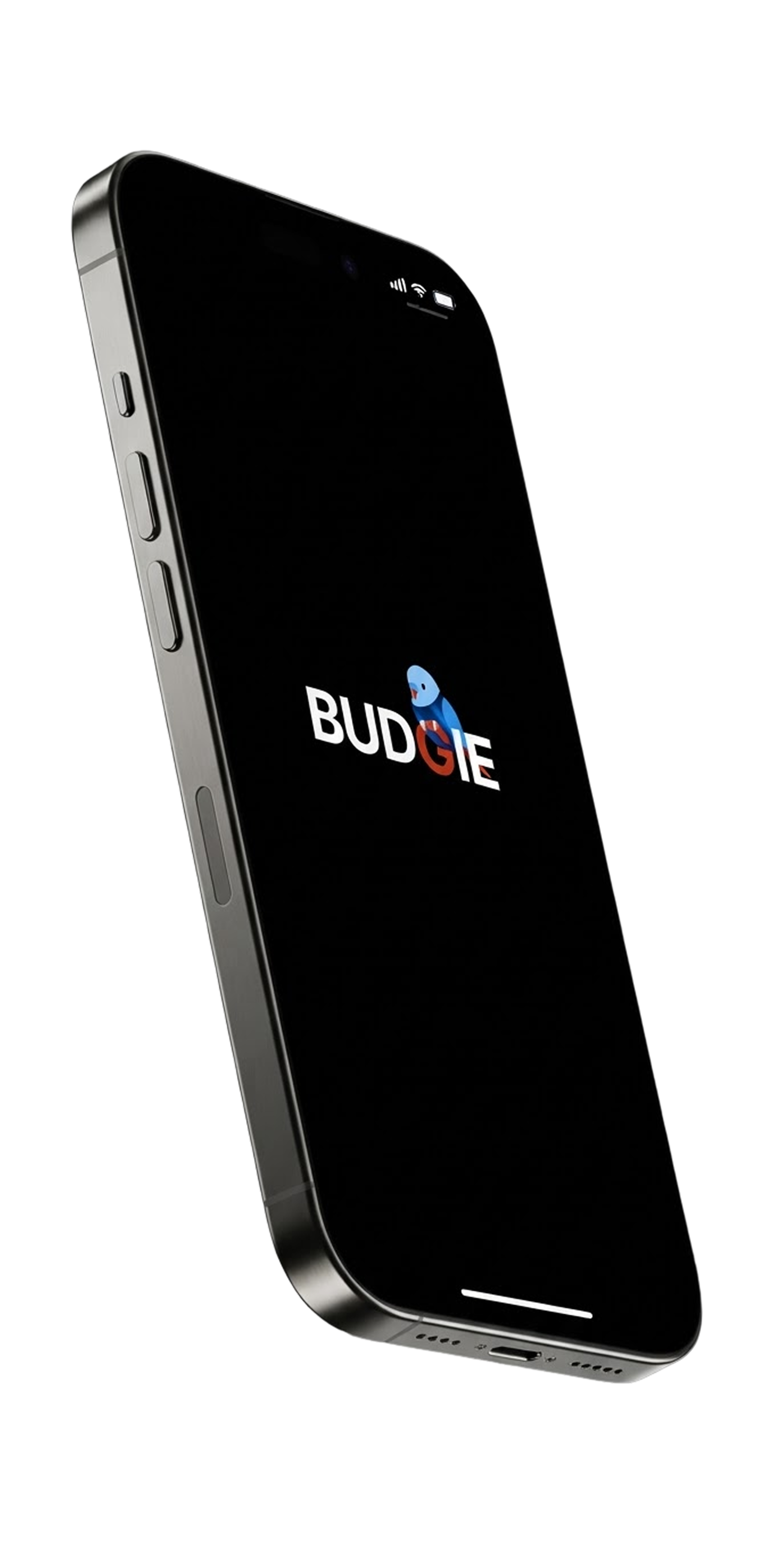 Angled iPhone displaying the Budgie launch screen