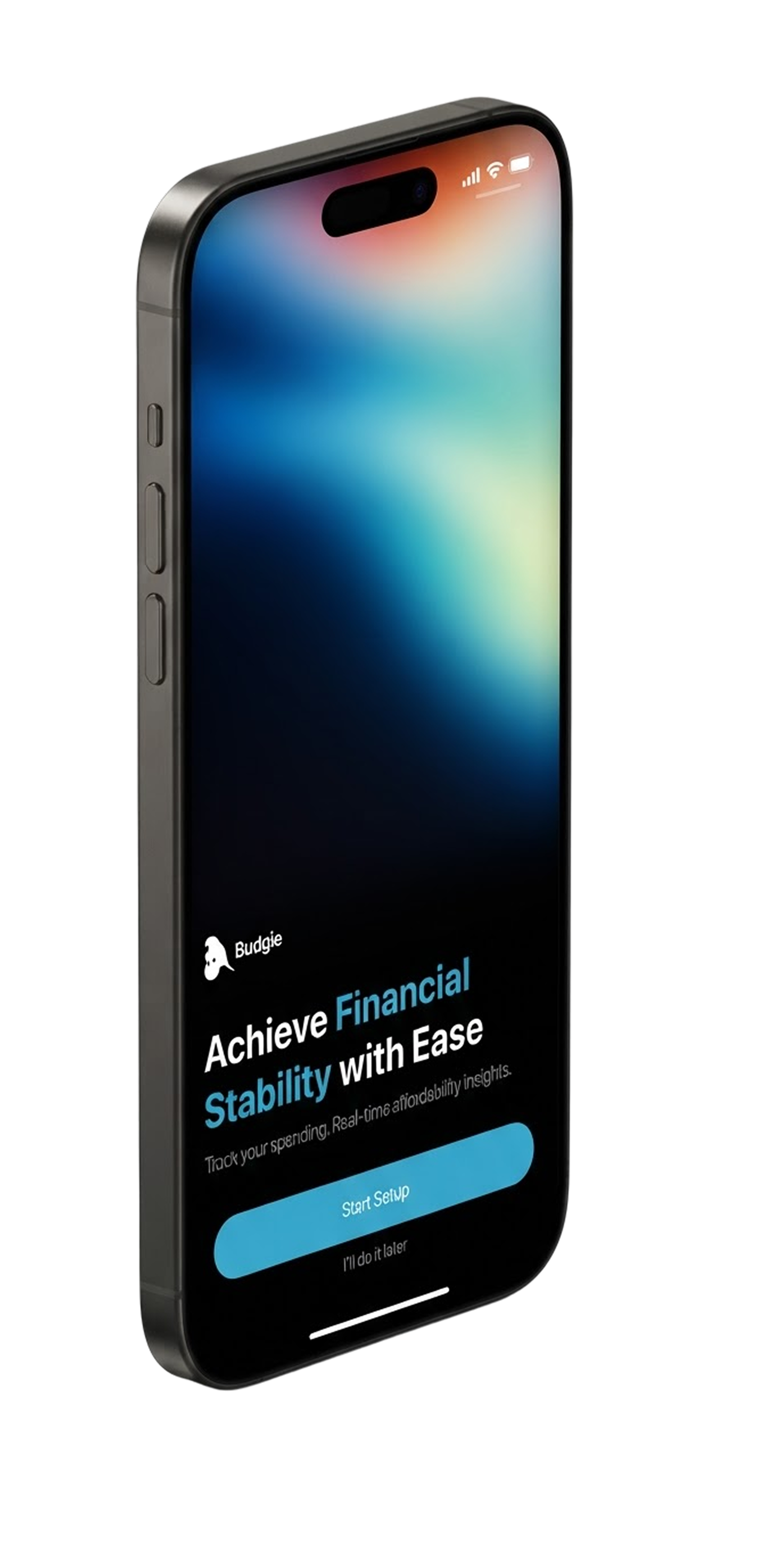 Angled iPhone displaying Budgie’s financial onboarding screen